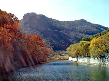 澳门二四六天天彩图库，通球指示器